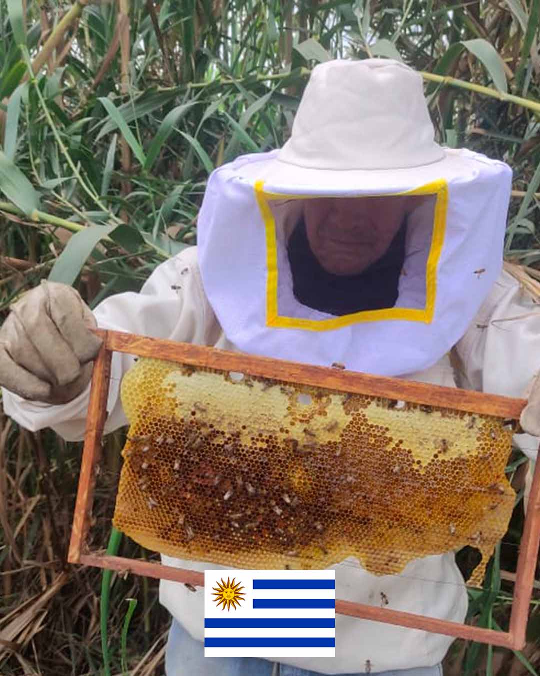 URUGUAY_